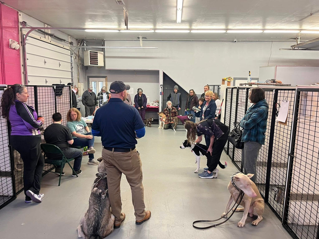 A Great Night for Dogs and Their Humans