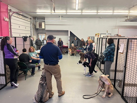 A Great Night for Dogs and Their Humans